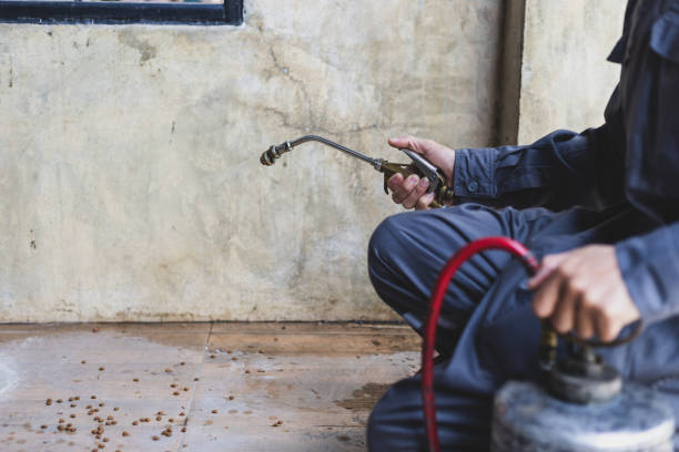 Best Exterminator Services  in Donora, PA